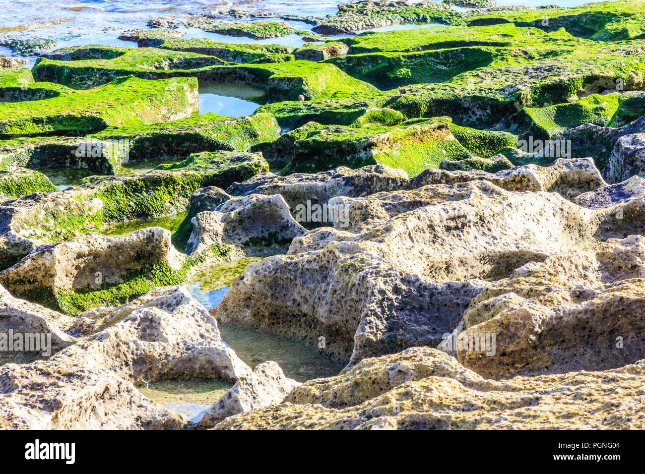 Kalkstein Rock Pools, Bingin njeder, Bali, Indonesien Stockfoto