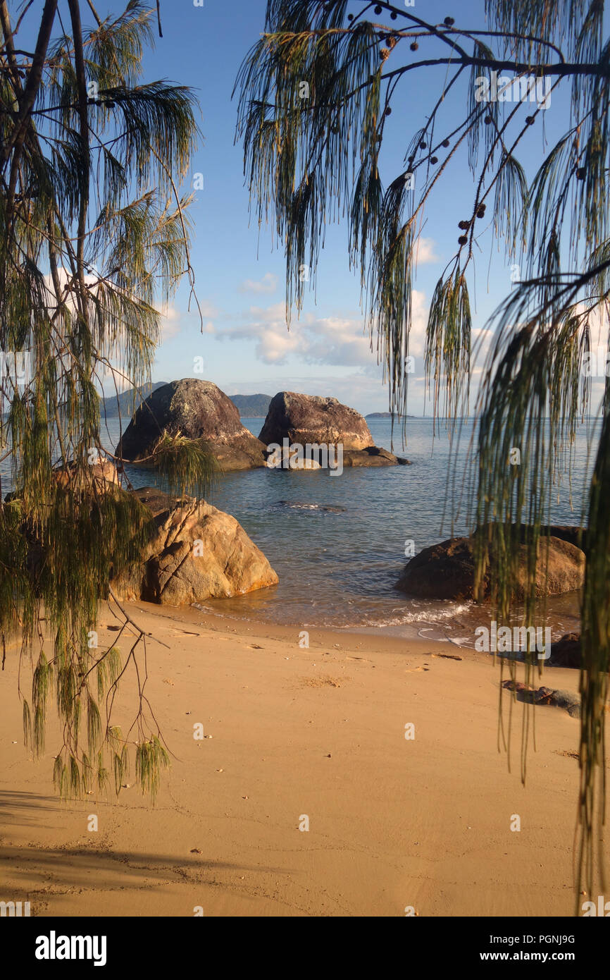 Norden Macushla Campground, mit Goold Insel im Hintergrund, Hinchinbrook Island National Park, Queensland, Australien Stockfoto