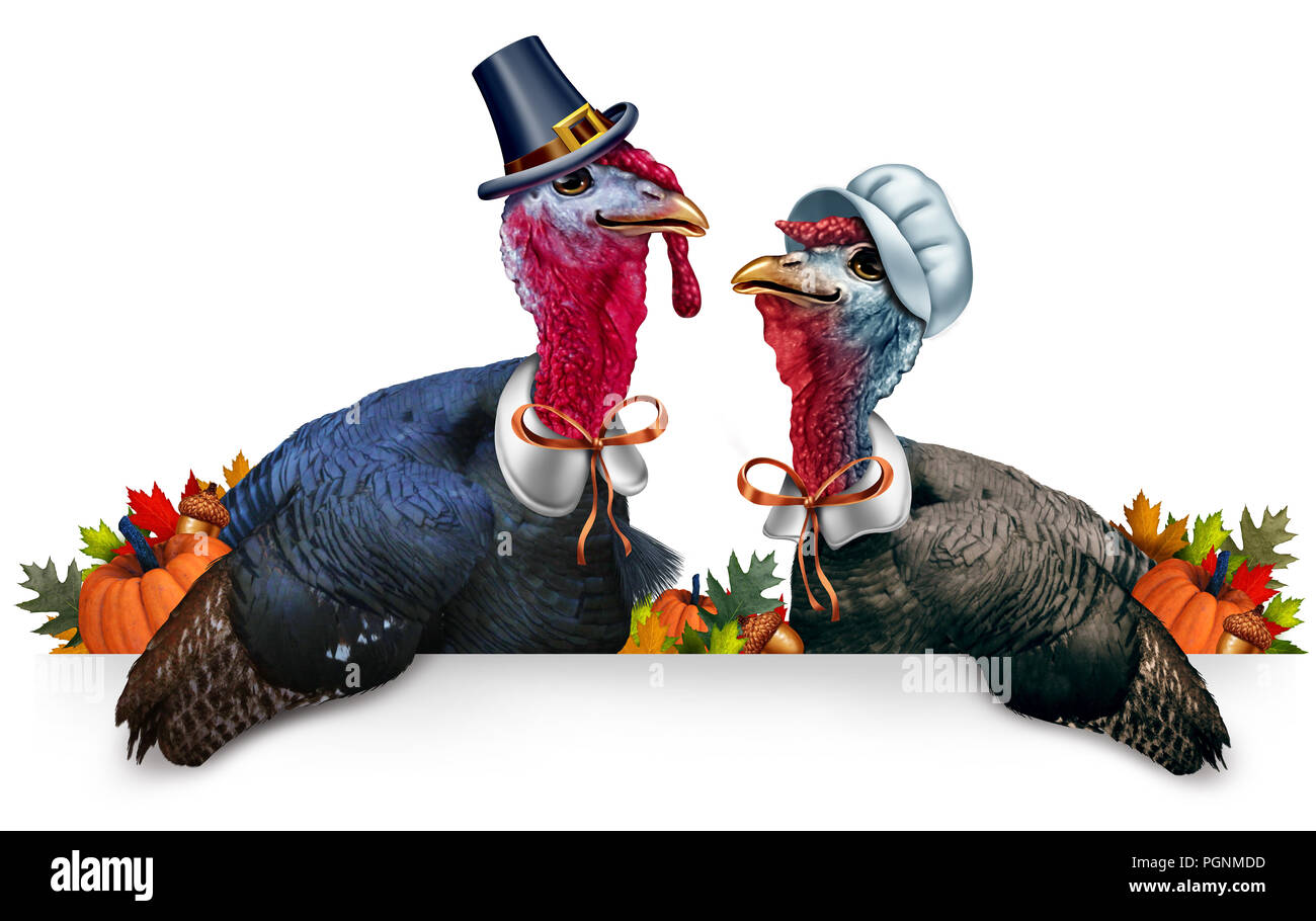 Thanksgiving leer banner Feier wie ein Schild mit einem Türkei Tom oder Gobbler und eine Henne und jeder trägt ein pilgrim Hut und Kleid. Stockfoto