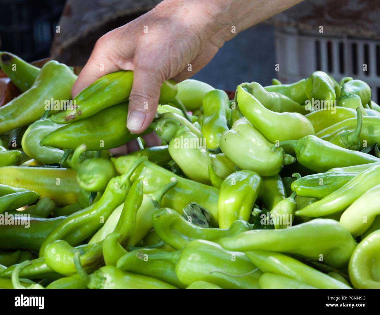 Eine Hand ist die Wahl grüne Paprika in der lokalen Lebensmittelgeschäft Stockfoto