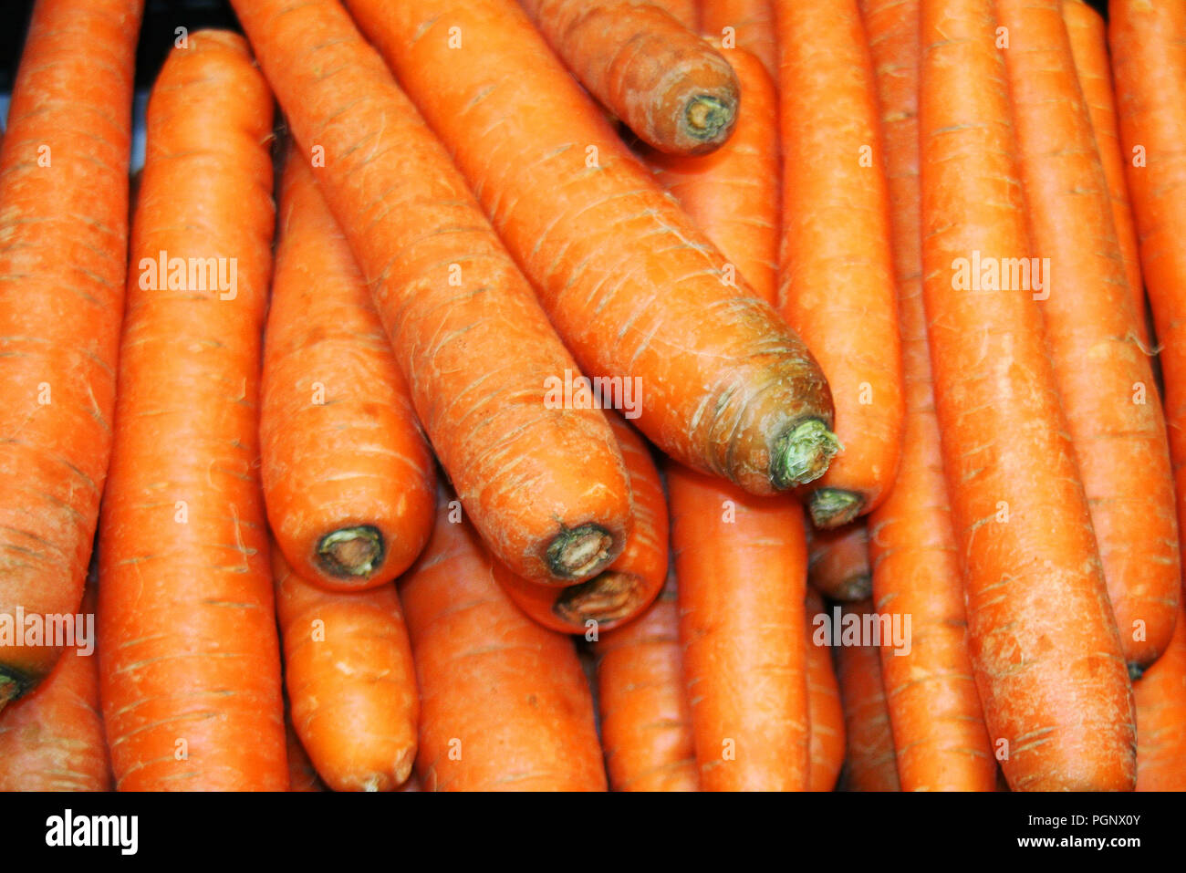 Menge Karotten in Gruppen. Die süße Karotten ermöglicht die Gemüse in etwas Obst zu - wie Rollen verwendet werden. Geriebenen Karotten sind in Karotten Kuchen verwendet, Stockfoto