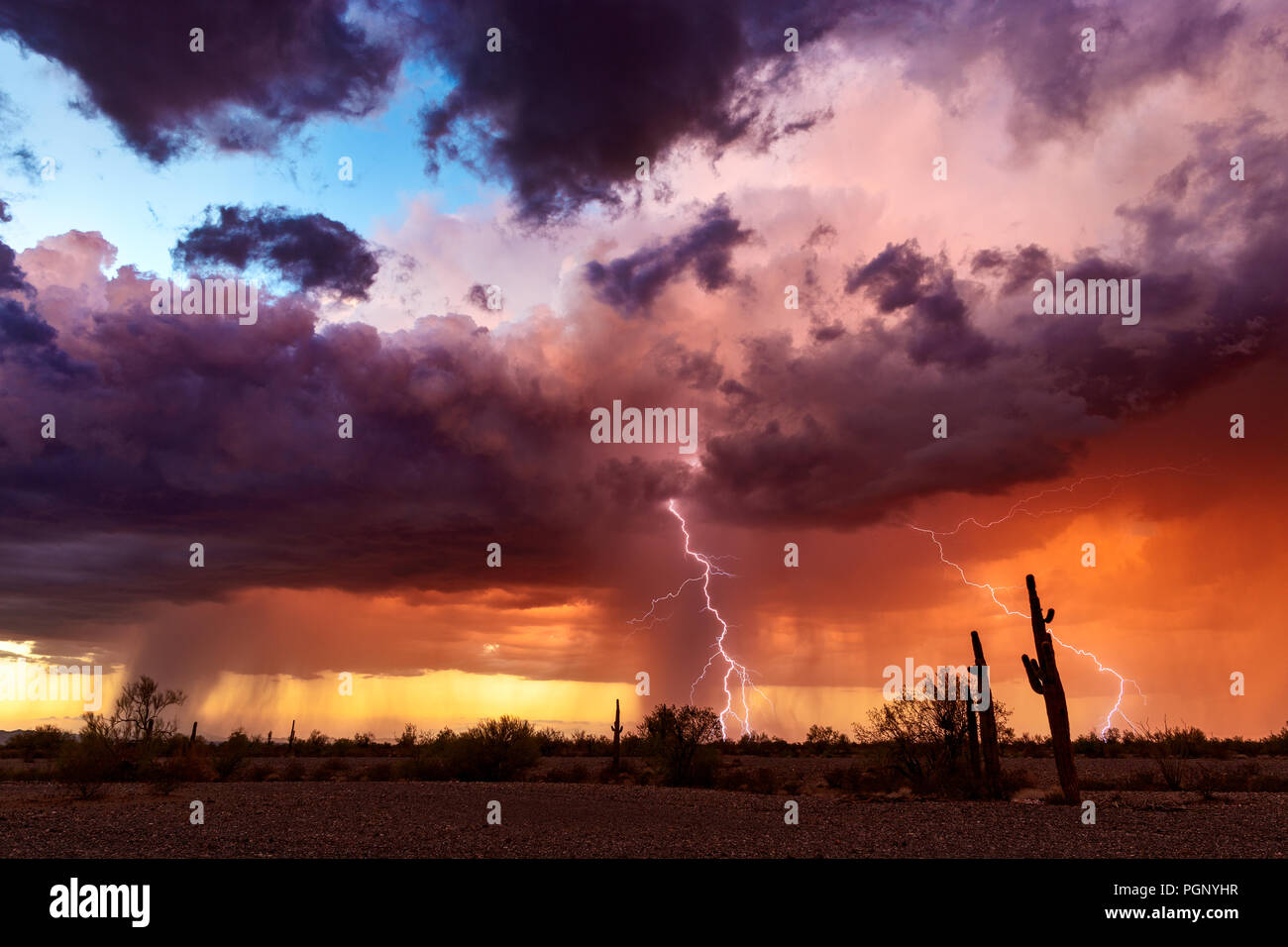 Dramatische Gewitterwolken mit Blitzeinschlag bei Sonnenuntergang über einer malerischen Wüstenlandschaft in Arizona Stockfoto