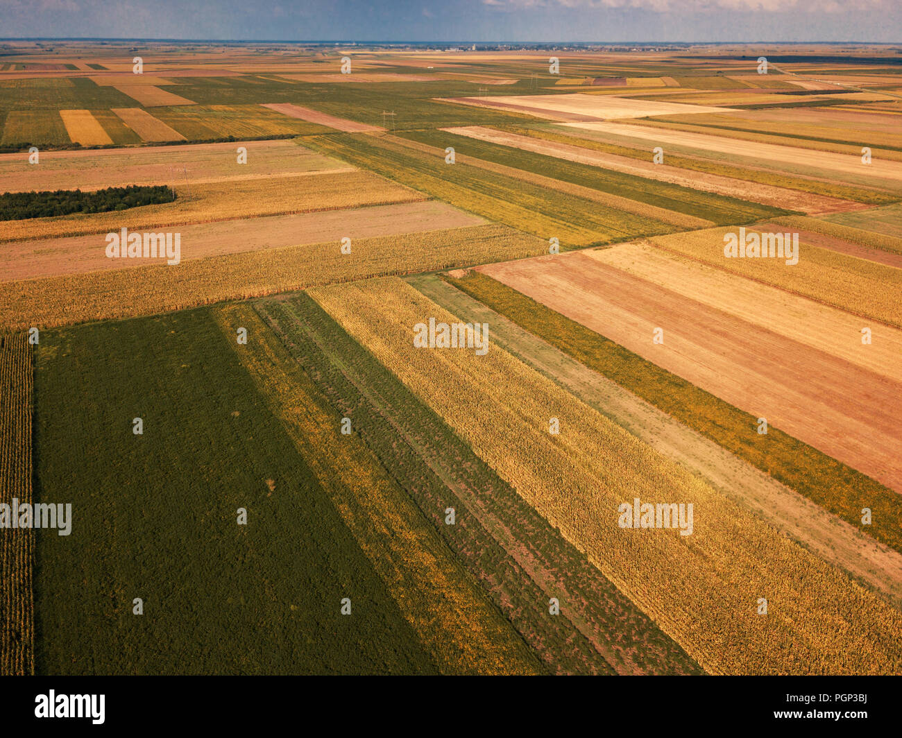 Drone Fotografie von Feldern in Sommer, ebene Landschaft Landschaft aus hohen Winkel anzeigen Stockfoto
