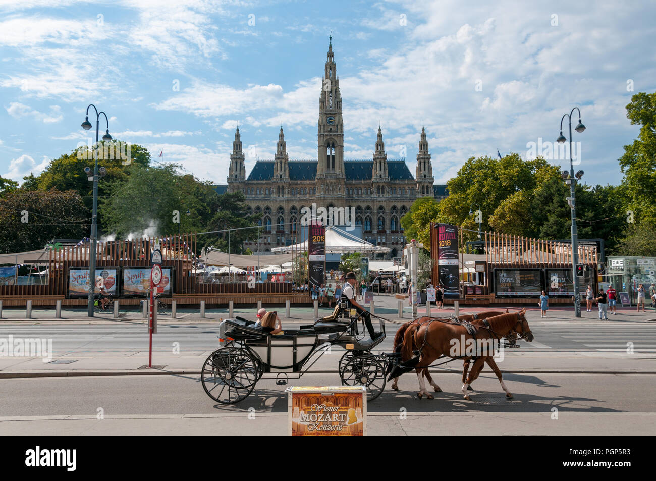 Rathaus (Rathaus), Wien, Österreich Stockfoto