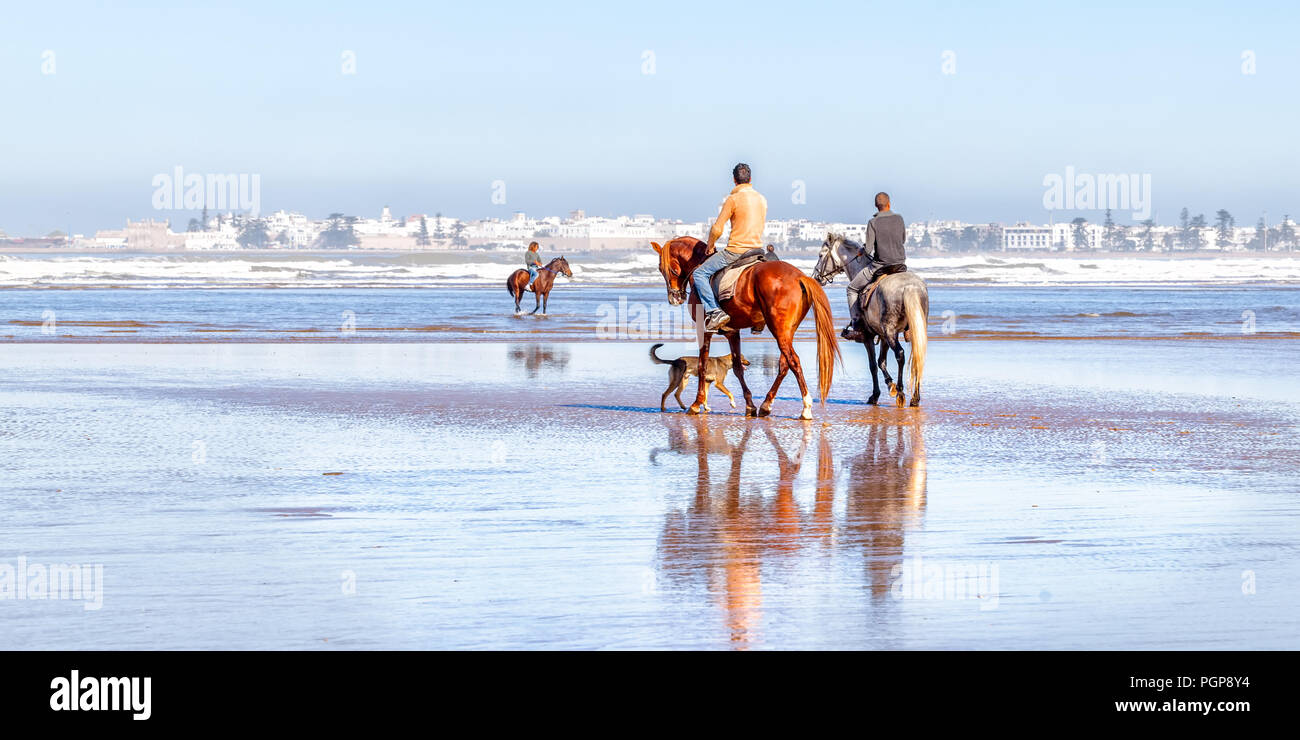 Marokko lokale Männer Reiten am Strand von Essaouira, einer Küstenstadt, im Hintergrund zu sehen. Stockfoto