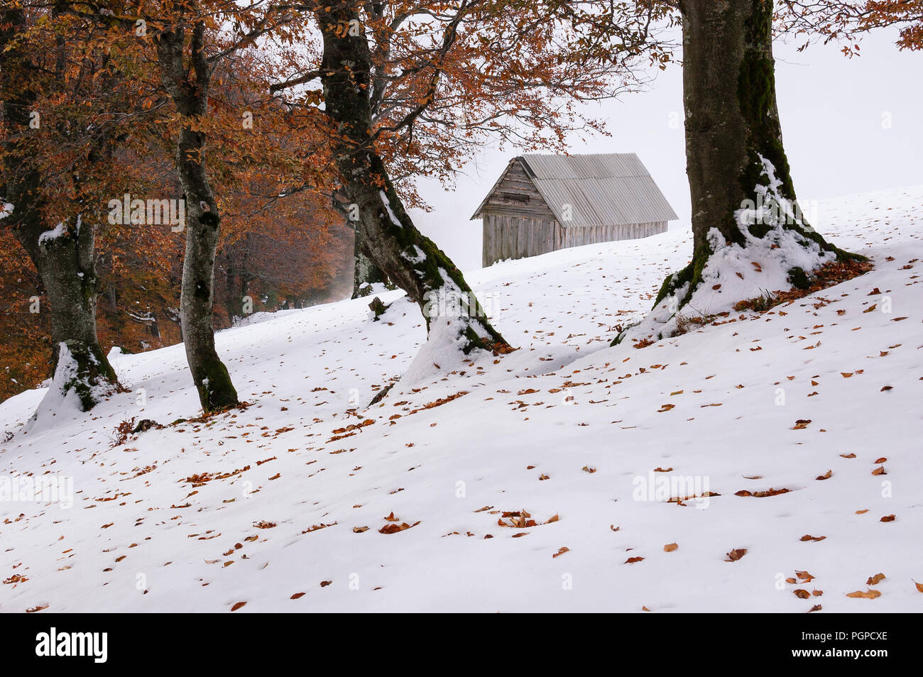 Herbst Landschaft mit den ersten unerwarteten Schnee. Alte Holzhütten auf einem berghügel Stockfoto