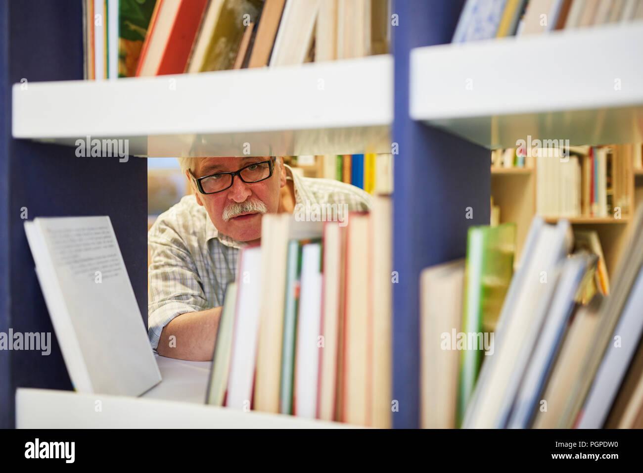 Senior als Wissenschaftler forschen in einer Bibliothek mit vielen Büchern Stockfoto