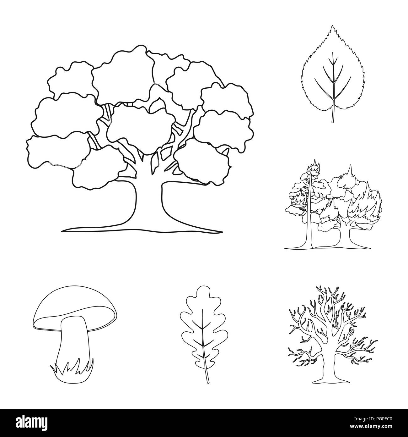 Wald und Natur Umrisse Symbole im Set Sammlung für Design. Wald leben Vektor Symbol lieferbar Abbildung. Stock Vektor