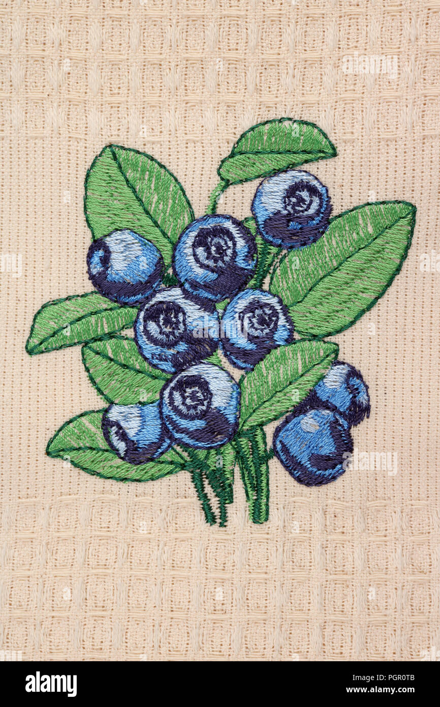 Vilnius Litauen 19 Juli 18 Hausgemachte Einfache Stickerei Von Farbigen Faden Auf Leinwand In Der Nationalen Ukrainischen Stil Blaubeere Fruchte Stockfotografie Alamy
