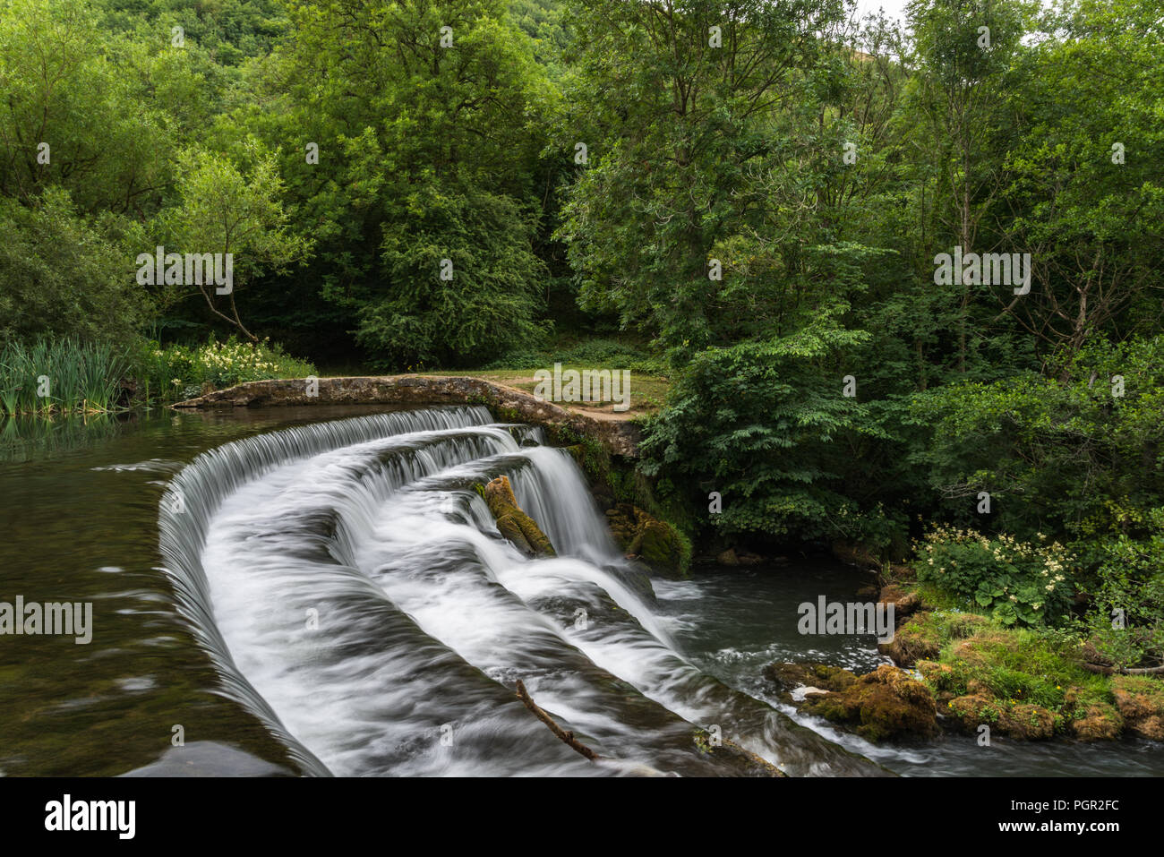 Die friedliche Tal der Monsal Dale im englischen Peak District National Park auf einem Juli morgen mit den Fluss Wye, Derbyshire, England, Großbritannien Stockfoto