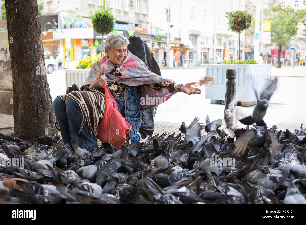 Frau füttern viele Tauben in der inneren Stadt Straße, Sofia, Bulgarien Stockfoto