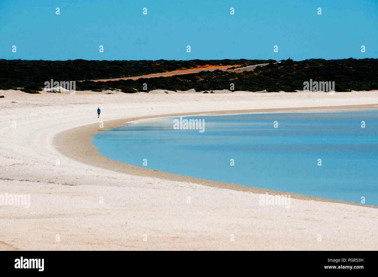 Shell Beach - Shark Bay - Western Australia Stockfoto