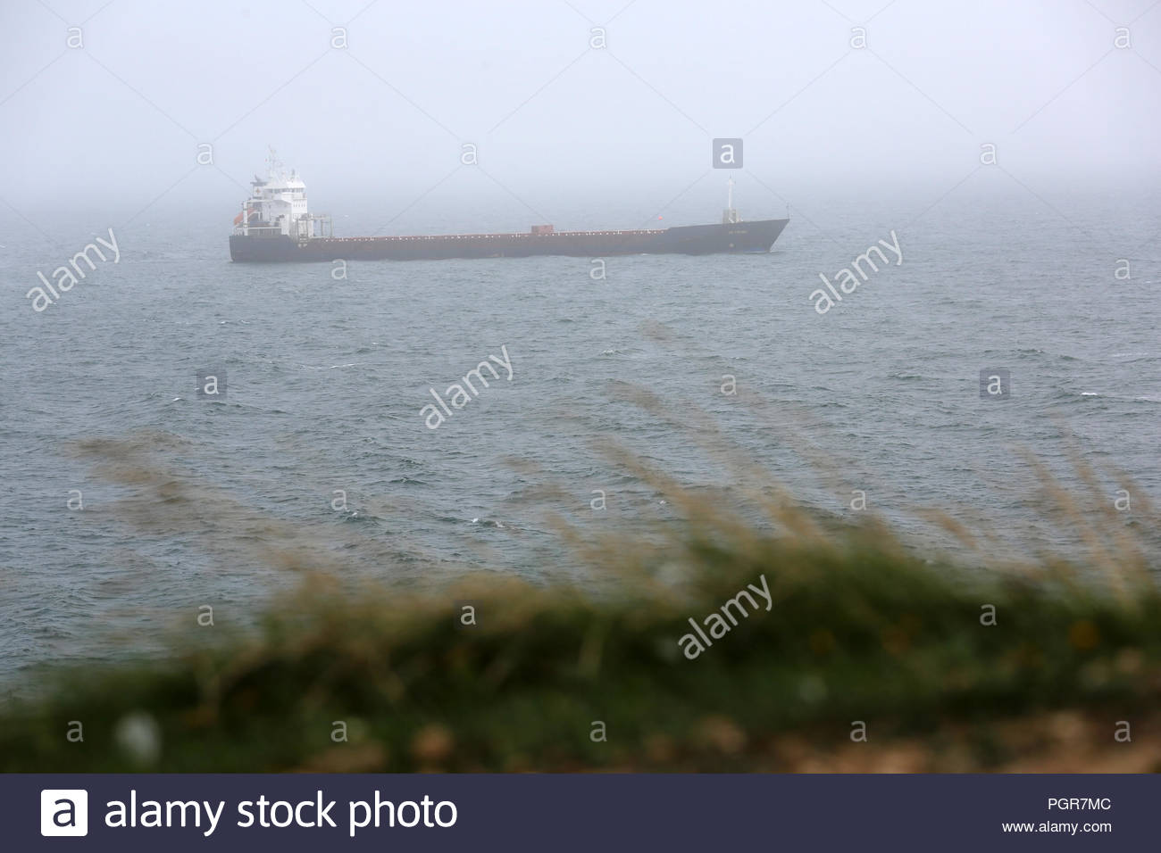Eine neblige, windigen Tag Dunmore East in Irland Stockfoto