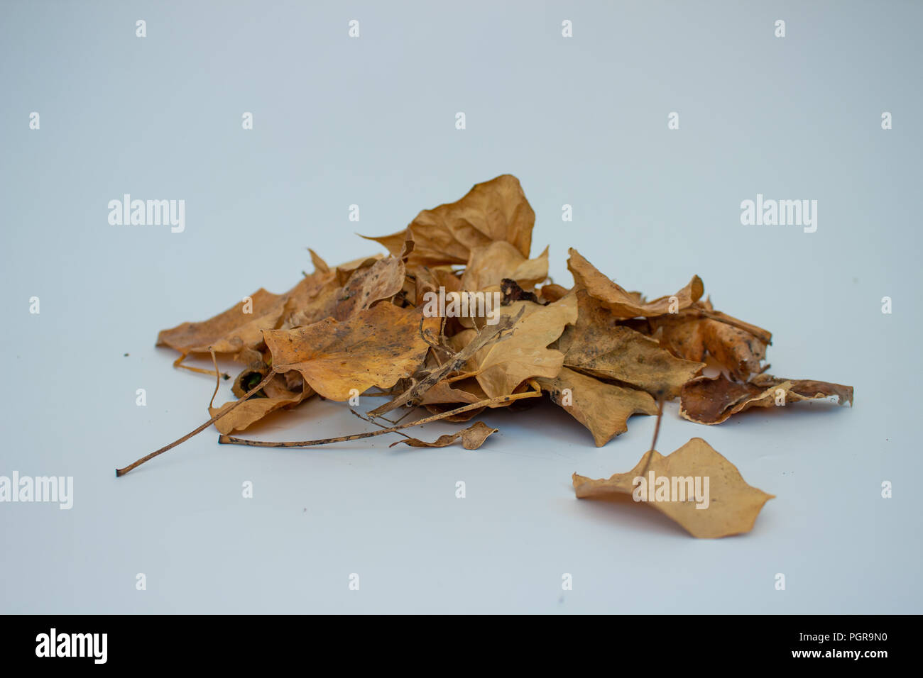 Stapel schmutziger Herbst Blätter Stockfoto