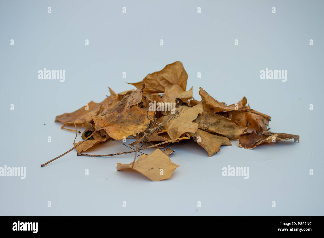 Stapel der Blätter im Herbst Stockfoto