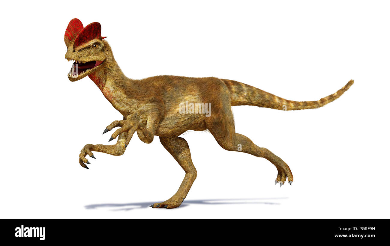 Dilophosaurus, theropode Saurier aus der frühen Kreidezeit (3D-Render mit Schatten auf weißem Hintergrund) Stockfoto