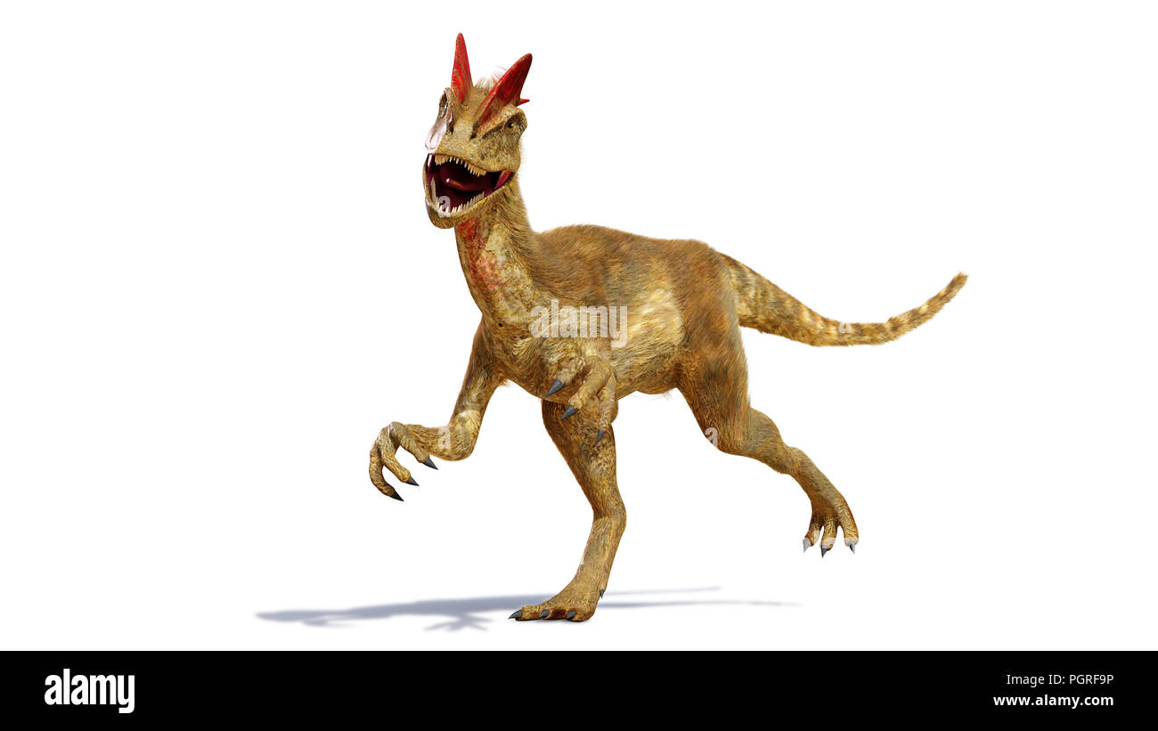 Dilophosaurus, theropode Saurier aus der frühen Kreidezeit (3D-Darstellung mit Schatten auf weißem Hintergrund) Stockfoto