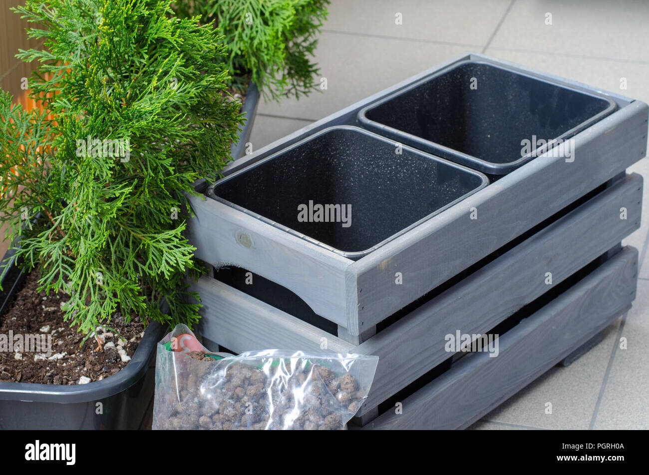 Umpflanzen Thuja Baum in einem neuen Holz- Topf auf dem Balkon. Schlieen  oben. Entwsserung in einen Plastikbeutel. Garten auf dem Balkon. Leeren  Blumentopf Stockfotografie - Alamy