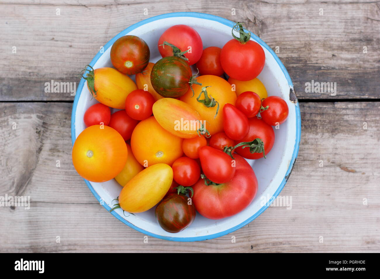 Solanum Lycopersicum. Frisch geernteten Sorten homegrown heirloom Tomaten in Emaille Teller auf Holz Stockfoto