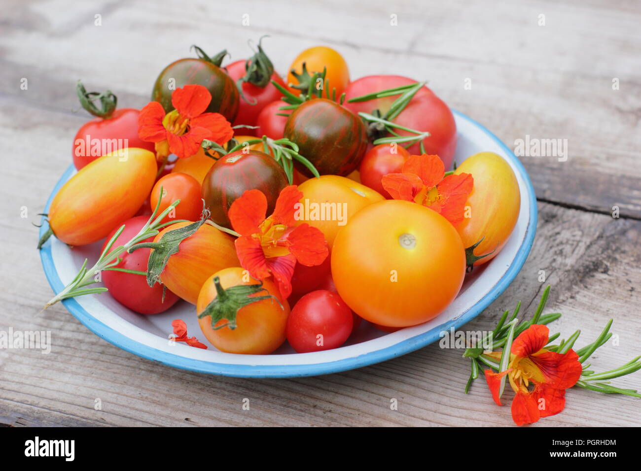 Solanum Lycopersicum. Frisch geernteten Sorten homegrown heirloom Tomaten mit essbaren Blüten, Kapuzinerkresse und Rosmarin in Emaille Schüssel Stockfoto