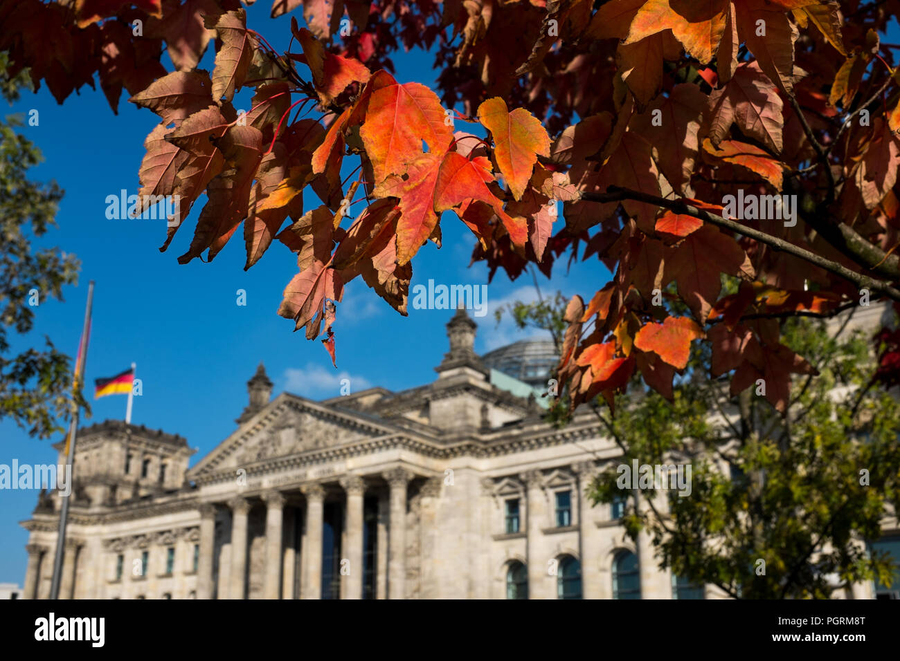 Berliner Reichstag im Herbst Stockfoto