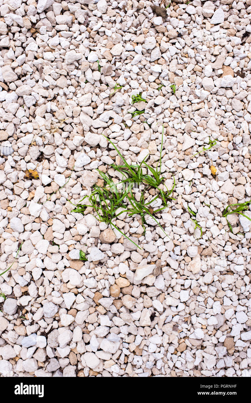 Tan, Weiße und graue Felsen kies Kies mit unscharfen bokeh Hintergrund Kanten und Nahaufnahme Detail für Zufahrten, Landschaftsgestaltung, und Französisch Abflüsse Stockfoto