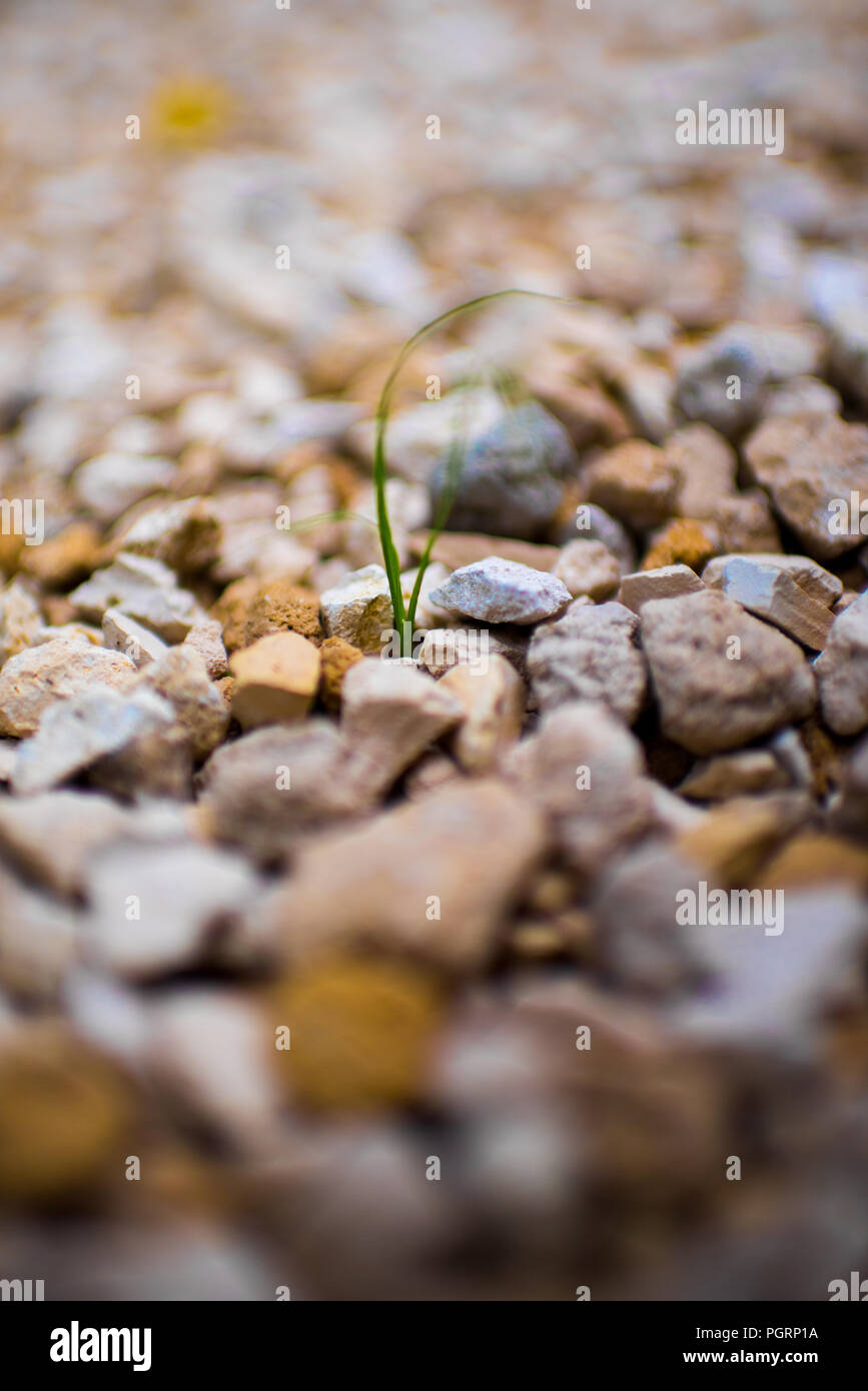 Tan, Weiße und graue Felsen kies Kies mit unscharfen bokeh Hintergrund Kanten und Nahaufnahme Detail für Zufahrten, Landschaftsgestaltung, und Französisch Abflüsse Stockfoto