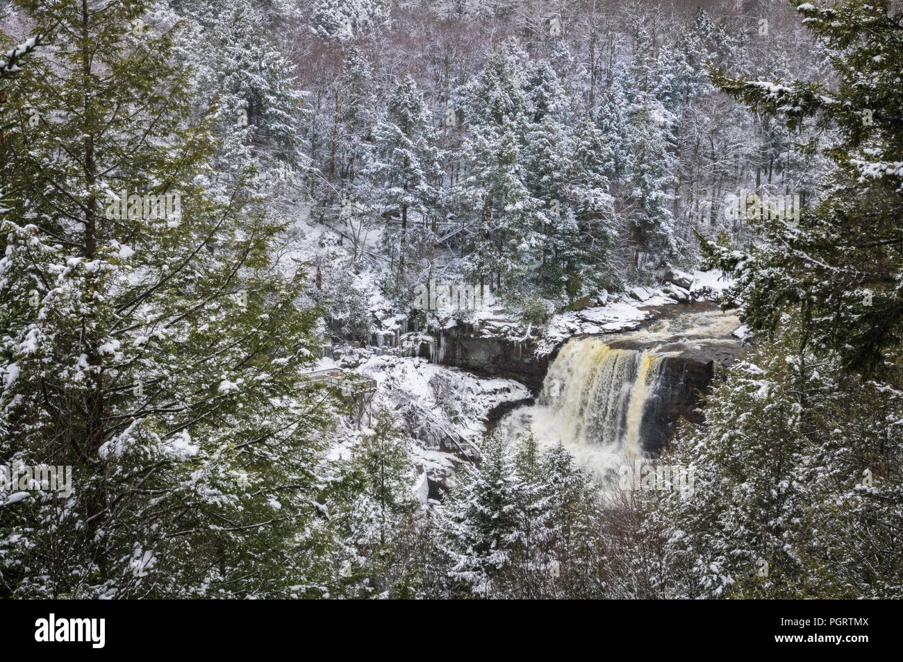 Eine frische Schicht Schnee Paprika die Pinien Framing der Blackwater fällt und eine vielfältig strukturierte Landschaft Winterlandschaft. Stockfoto