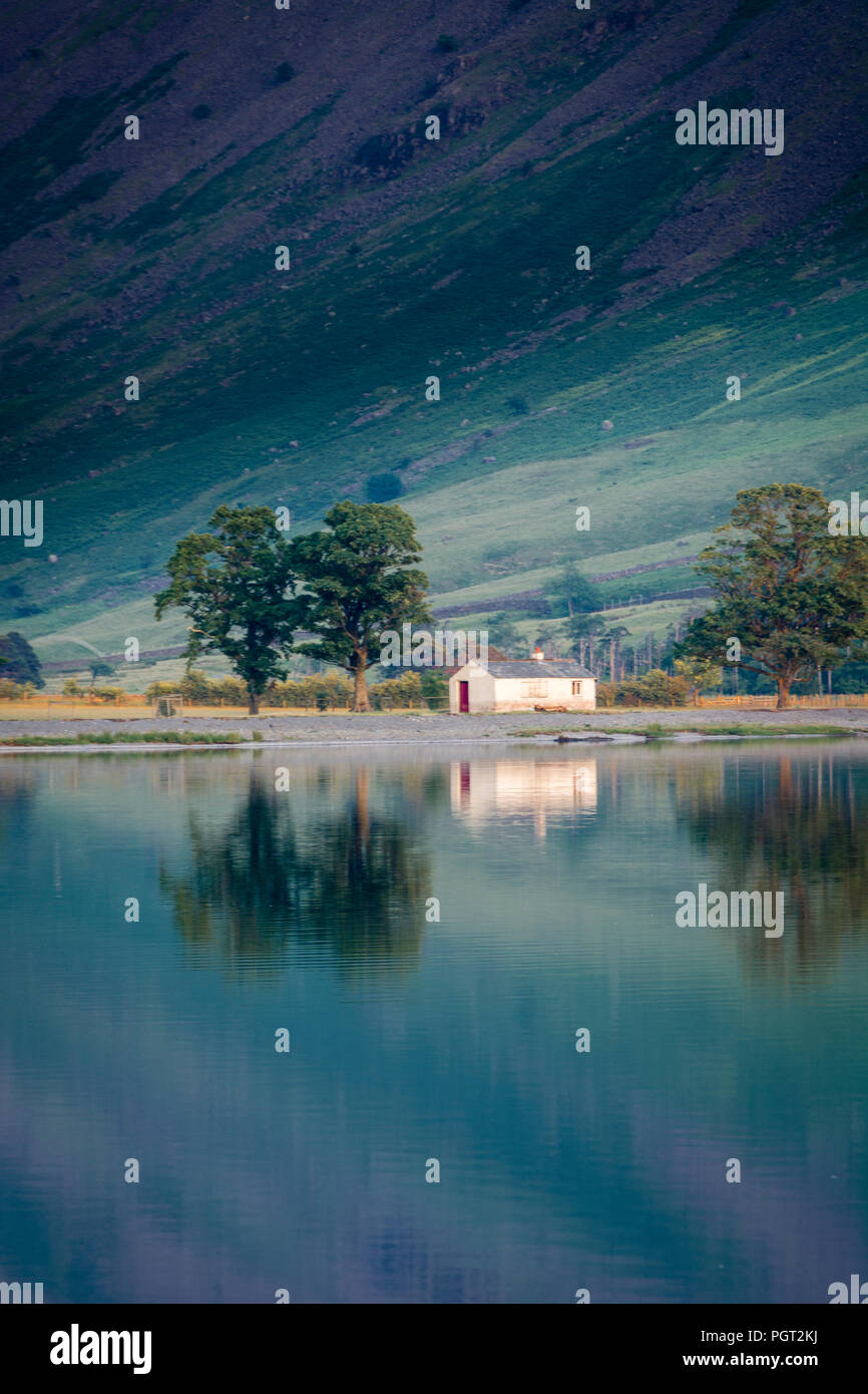 Buttermere Kiefern von Lakeshore bei Sonnenuntergang, Lake District, Cumbria, England Stockfoto