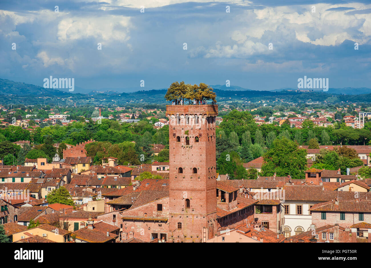 Die berühmten und charakteristischen Mittelalterlichen Guinigi Turm mit Eichen und Touristen an der Oberseite, errichtet im 14. Jahrhundert in der Altstadt Stockfoto