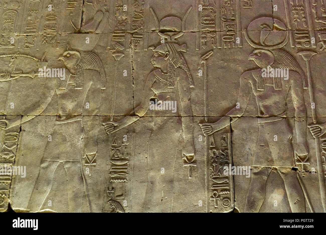 Geschnitzte ägyptischen Hieroglyphe Detail der Zahlen über die Innenwände des Heiligtum des Horus, Edfu Tempel, Edfu, Ägypten, Afrika Stockfoto