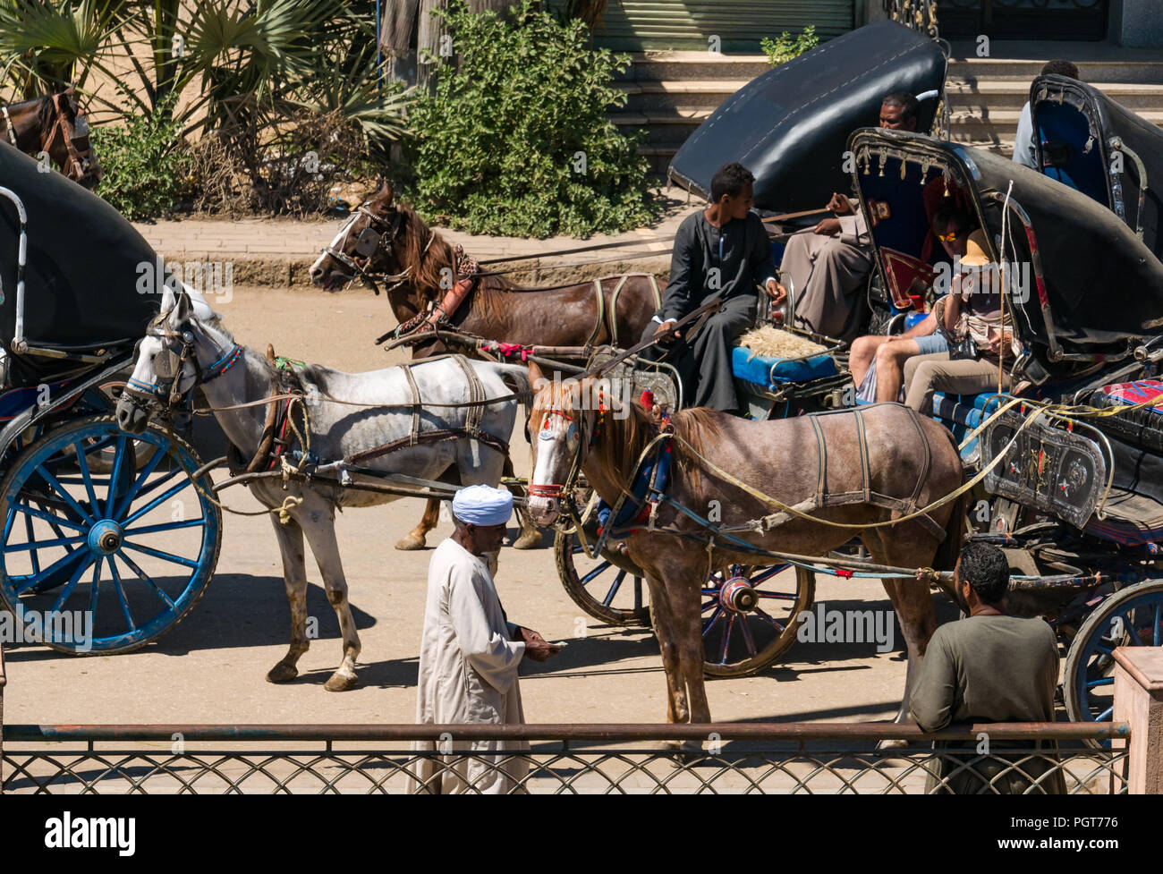 Touristen in Pferdekutschen durch lokale ägyptischen Männern angetrieben von Nil touristische Kreuzfahrtschiffe, Edfu, Ägypten, Afrika zu transportieren Stockfoto