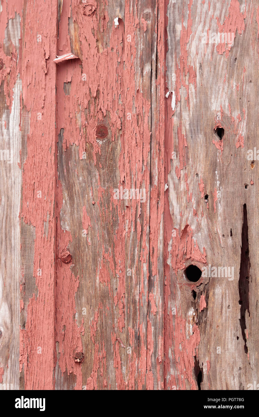 Detail des Alten, Peeling roter Farbe auf kleinen, Wald, Gebäude, Hintergrund, vertikal mit Knoten in Holz Stockfoto