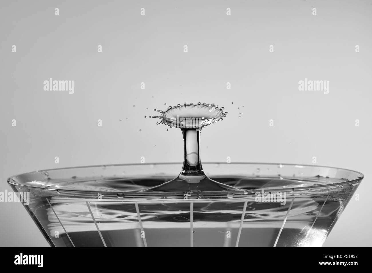 Tröpfchen kollidieren oben Martini Glas, wodurch ein radiallüfter Muster. Als monochrom verarbeitet. Stockfoto