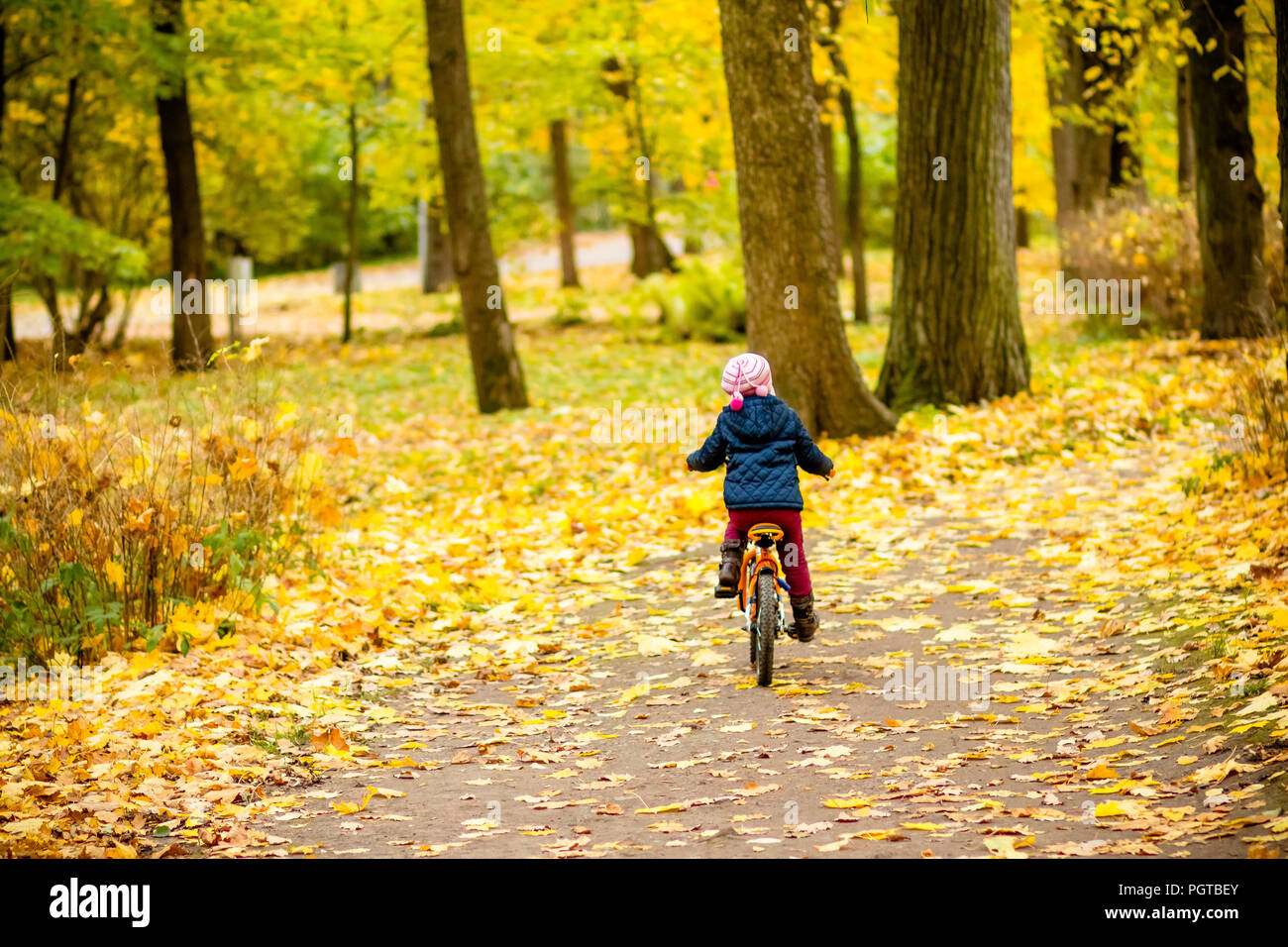 Kleines Mädchen auf einem Fahrrad im Park unterwegs mit Herbst Eiche und  Ahorn bewachsen. Zurück Blick auf Kleines Kind in blue coat Fahrradfahren.  Radfahrer im Herbst Park. Mädchen Radtouren im City Park