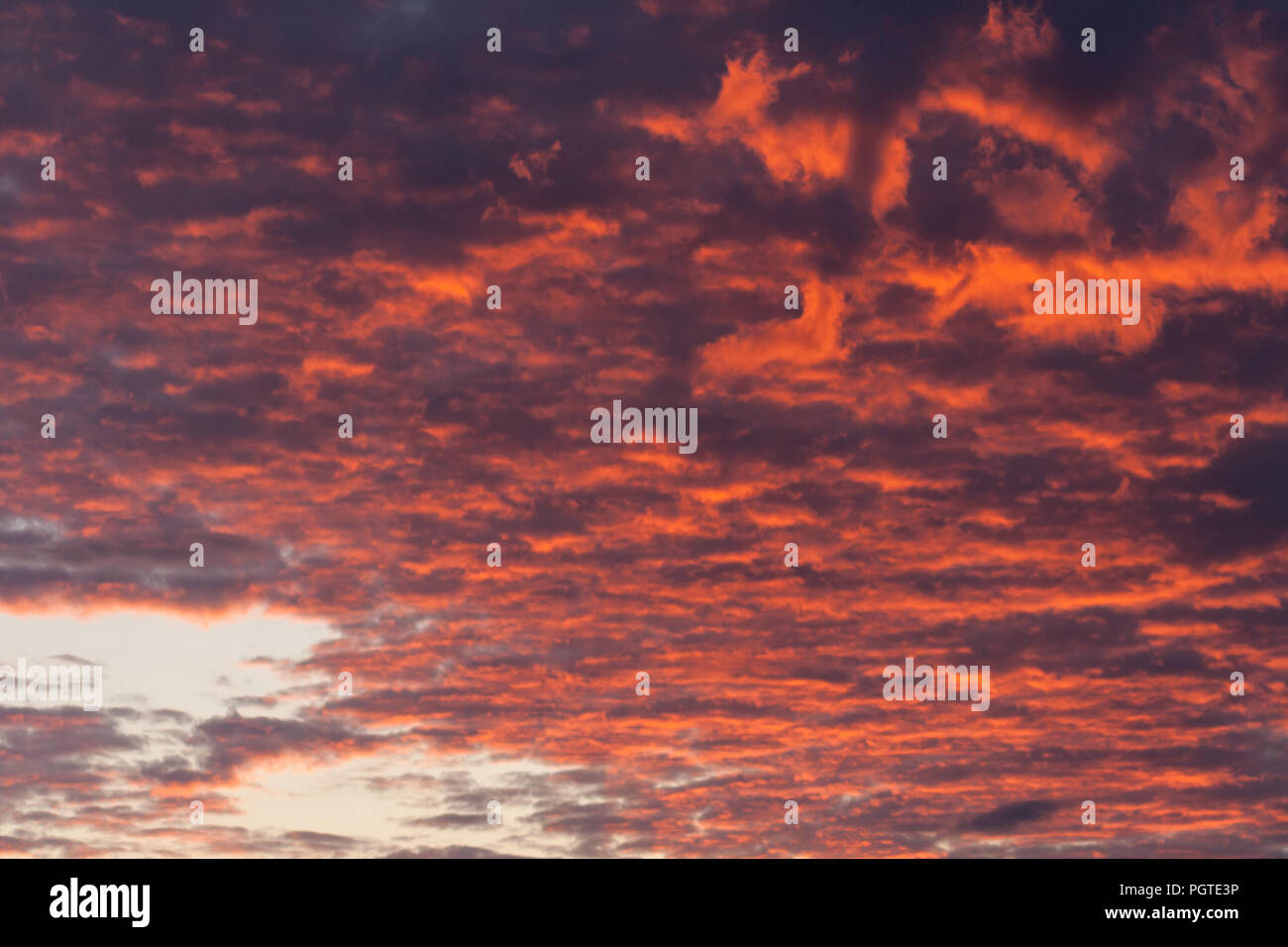 Der Himmel in der Dämmerung Wolken und helle Lichtblitze purpur Purpur, satte Farben, natürlichen Natur Sonnenaufgang, Stockfoto