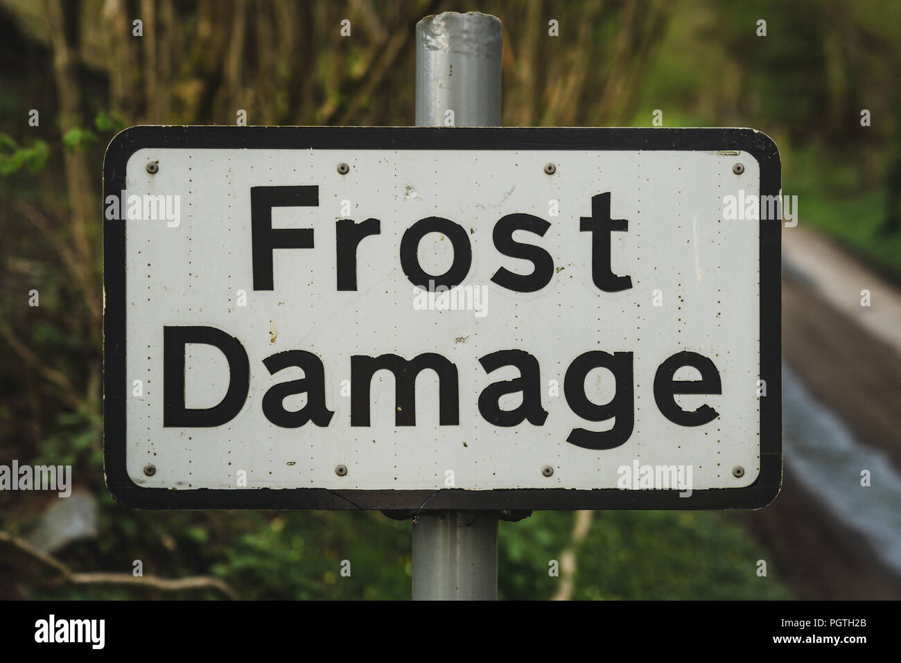 Zeichen: Frostschäden, zwischen Newcastle und Dutlas, Shropshire, England, UK gesehen Stockfoto