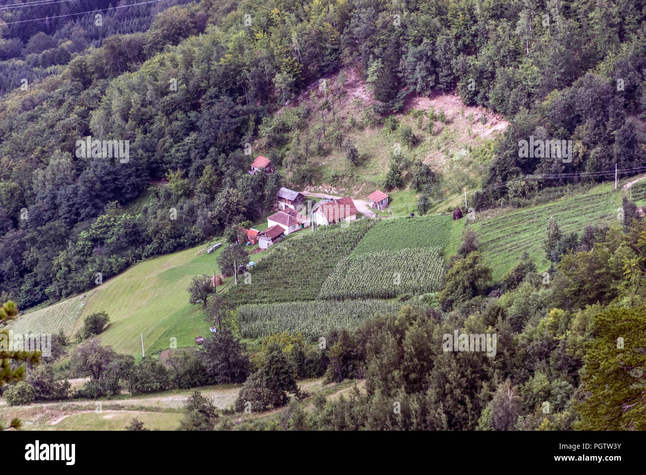 Auf dem Land, in den westlichen Serbien - ländliche Haushalte in den Hügeln von dichten Wäldern umgeben Stockfoto