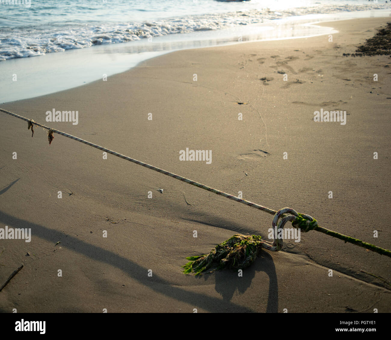 Seil bedeckt mit Algen am Strand Stockfoto