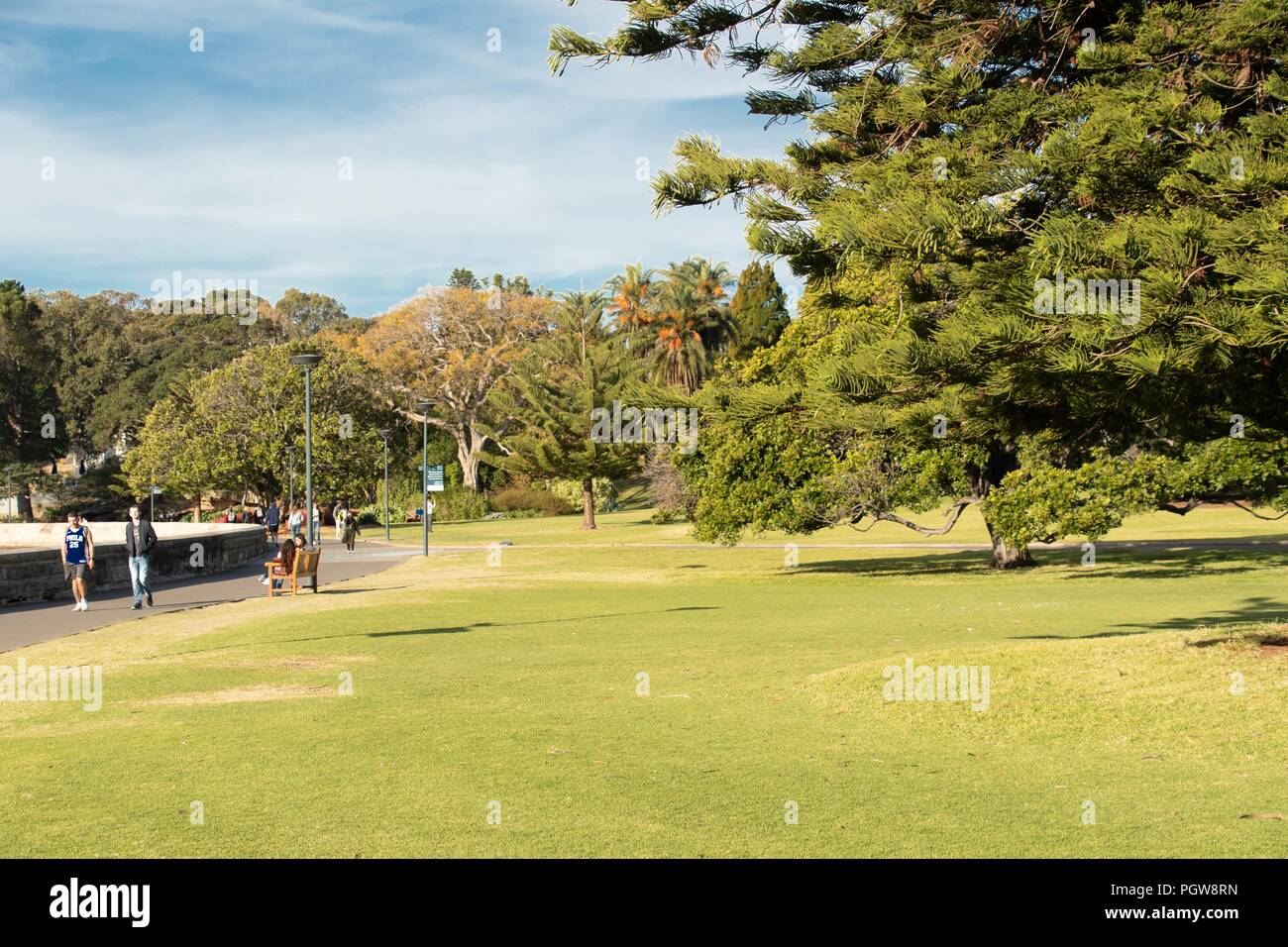 Royal Botanical Garden Sydney Sommer 2018 Stockfoto Bild