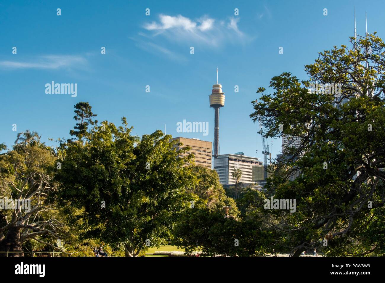 Royal Botanical Garden, Sydney Sommer 2018 Stockfoto