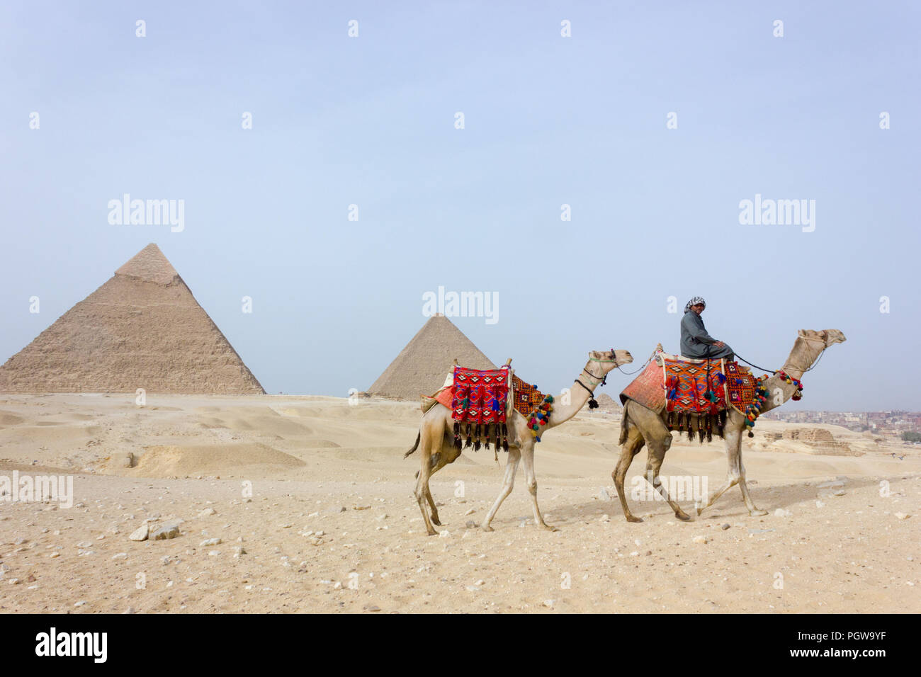 Die große Sphinx von Gizeh mit der Pyramide des Chephren, Pyramidenanlage Giza, Ägypten Stockfoto