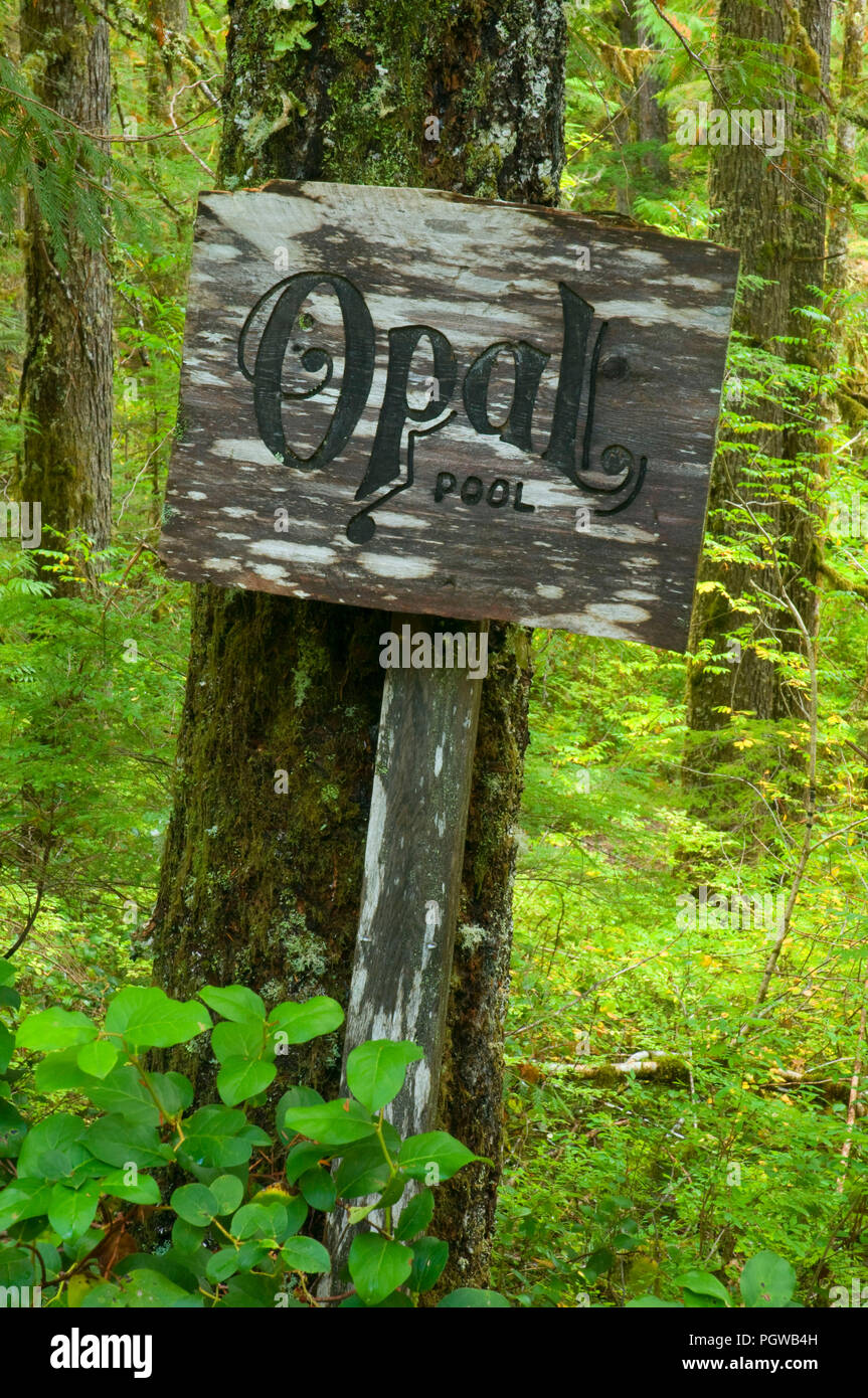 Opal Pool Zeichen, Opal Creek malerischen Erholungsgebiet, Willamette National Forest, Oregon Stockfoto