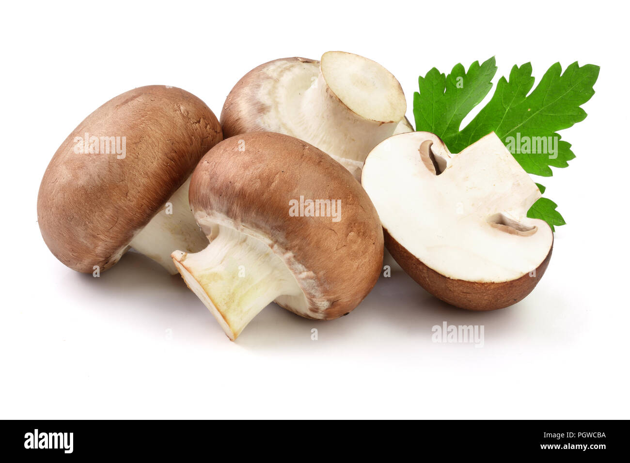 Royal Braun Champignon mit der Hälfte und Petersilie Blatt auf weißem Hintergrund Stockfoto