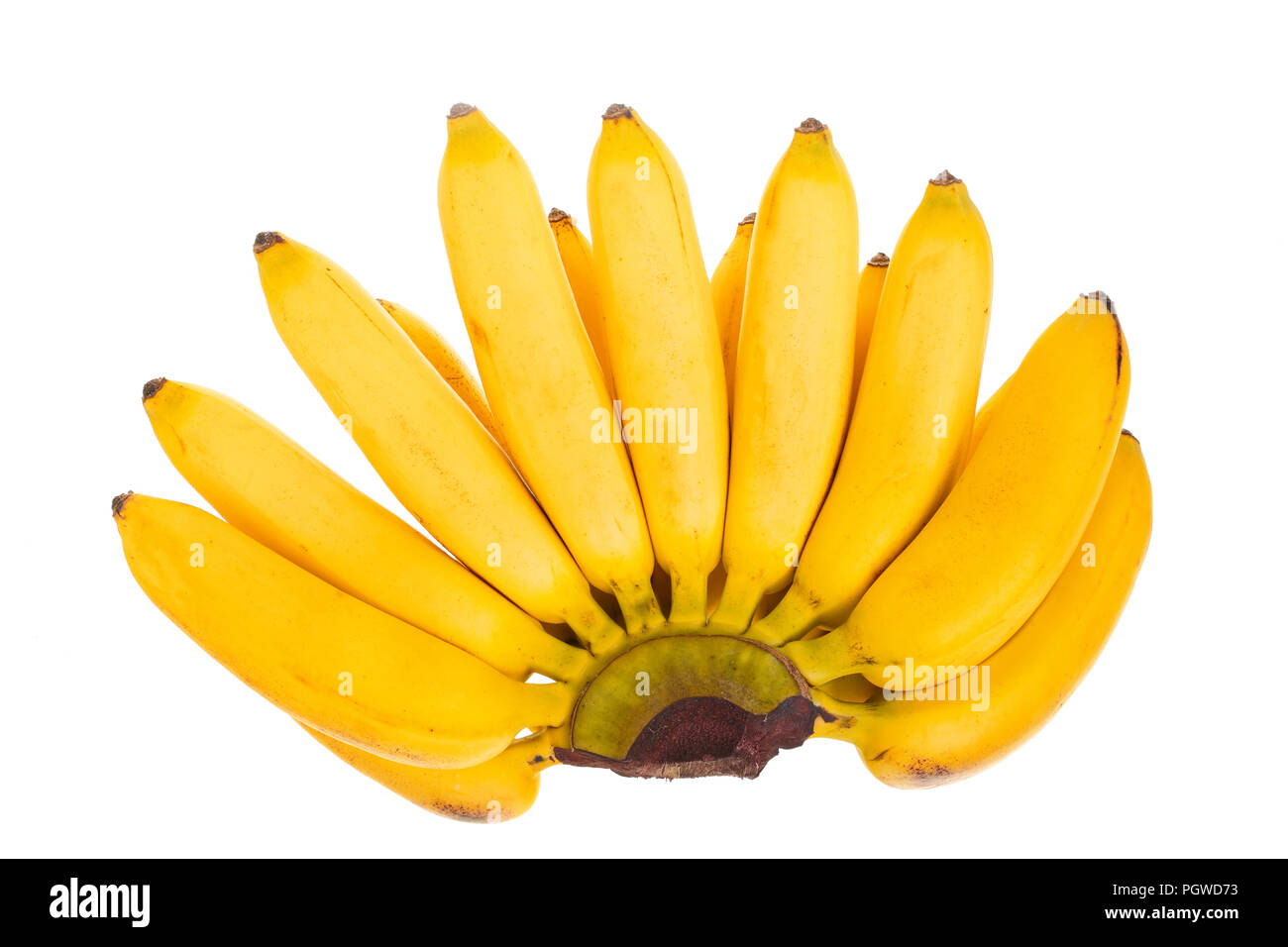 Mini Bananen auf weißem Hintergrund. Ansicht von oben. Flach Stockfoto