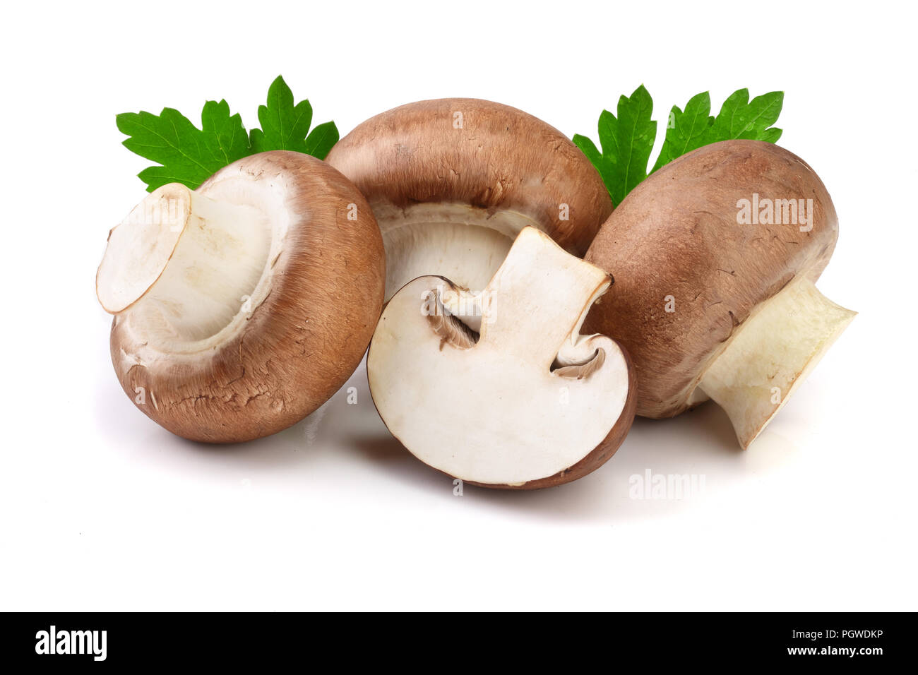 Royal Braun Champignon mit der Hälfte und Petersilie Blatt auf weißem Hintergrund Stockfoto