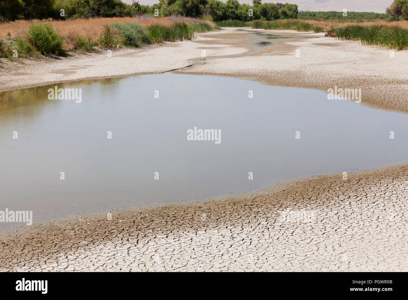 Fast einem trockenen Bachbett (aka trockenen Arroyo, Dry Creek, trocken waschen, trocknen Gulch) - San Joaquin River National Wildlife Refuge, Kalifornien, USA Stockfoto