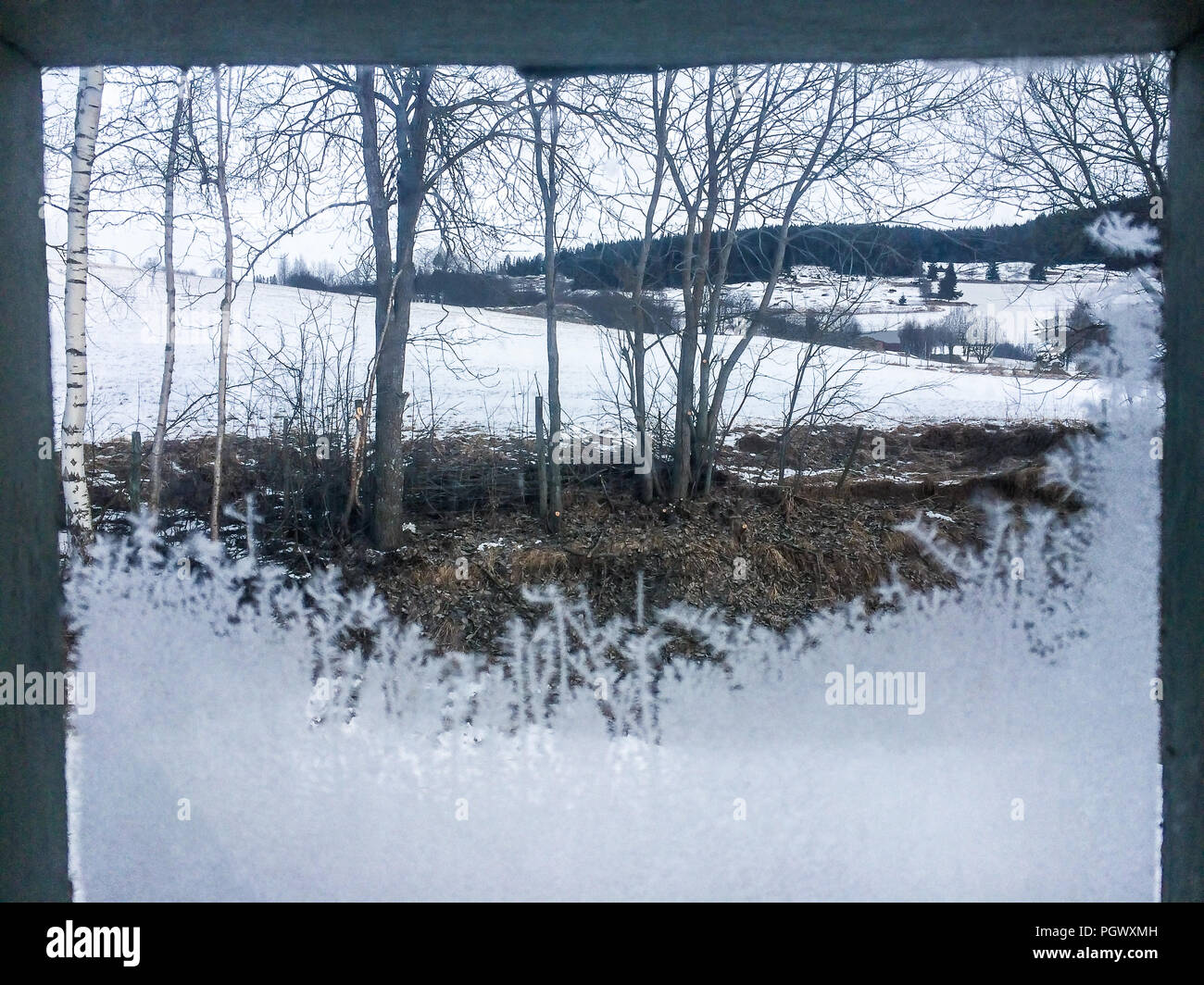 Eine mattierte ruhige Winterlandschaft mit Schnee und Bäume mit kahlen Ästen in die Landschaft. Stockfoto