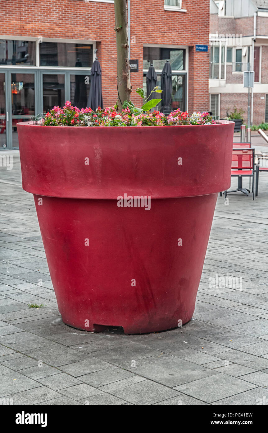 Riesig grosse Blumen Topf auf einem Platz der Stadt platziert Stockfoto