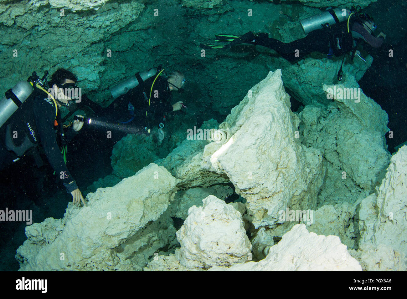 Taucher in der Cenote Tajma Ha, Playa Del Carmen, Quintana Roo, Mexiko Stockfoto